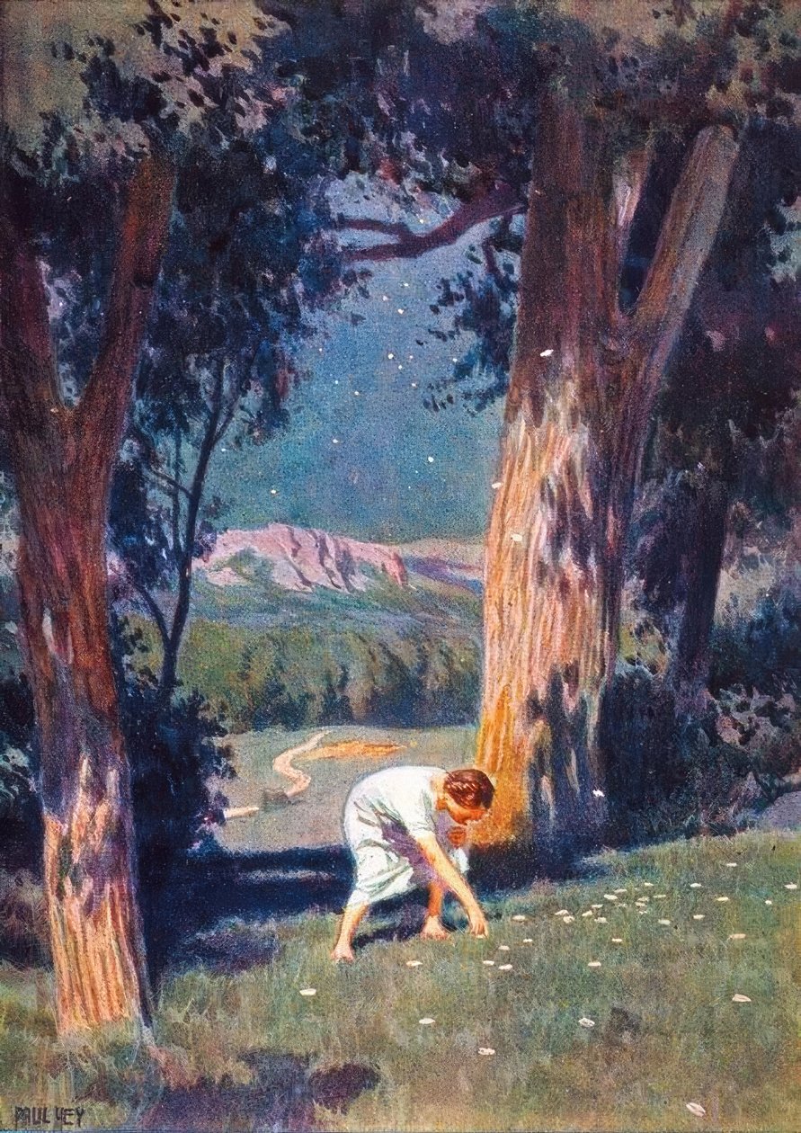 El dinero estrella de Paul Hey