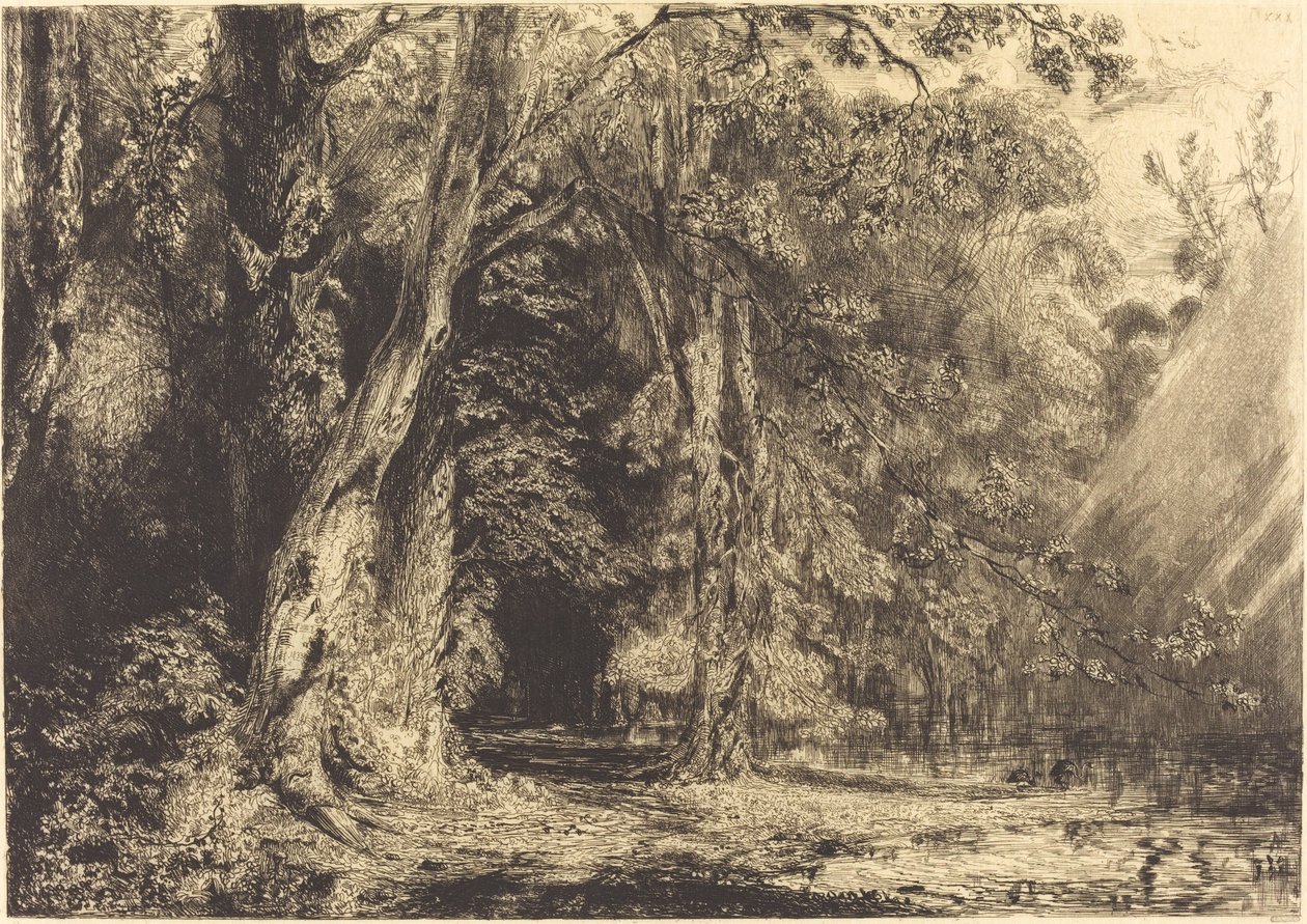 Inundación en el bosque de la Isla Seguin de Paul Huet