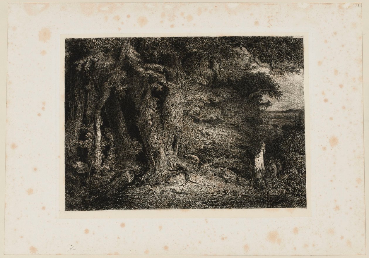 La entrada al bosque. Beraldi 74 de Paul Huet