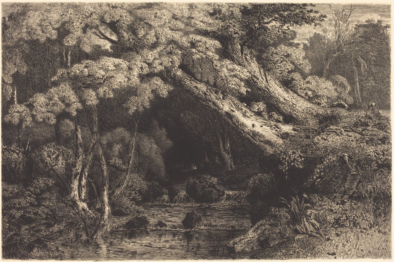 Arroyo Saint-Pierre cerca de Pierrefonds (Ruisseau de Saint-Pierre, cerca de Pierrefonds) de Paul Huet