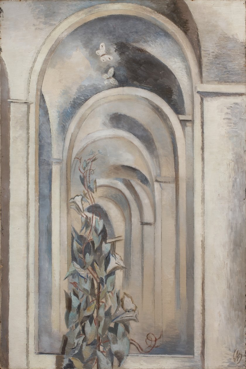 Convolvulus de Paul Nash