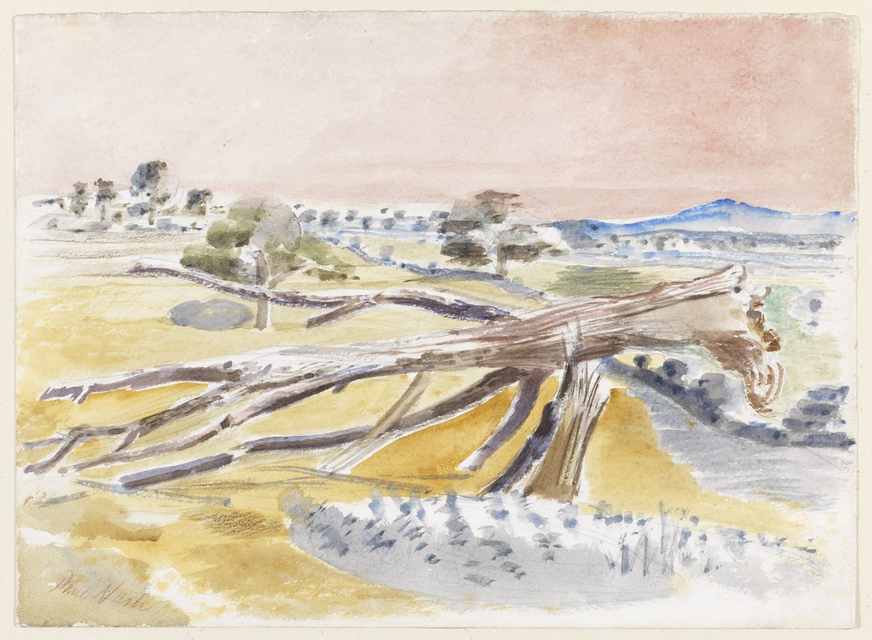 Campo de Monstruos, Estudio II de Paul Nash