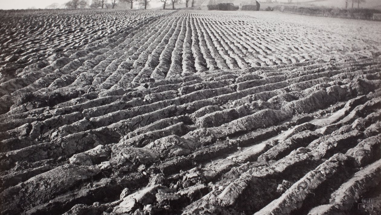 Campo arado y almiares de Paul Nash