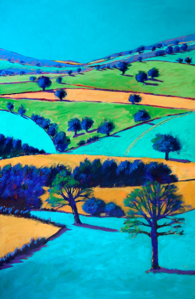 Cotswold Valley, 2024 (acrílico sobre tabla) de Paul Powis