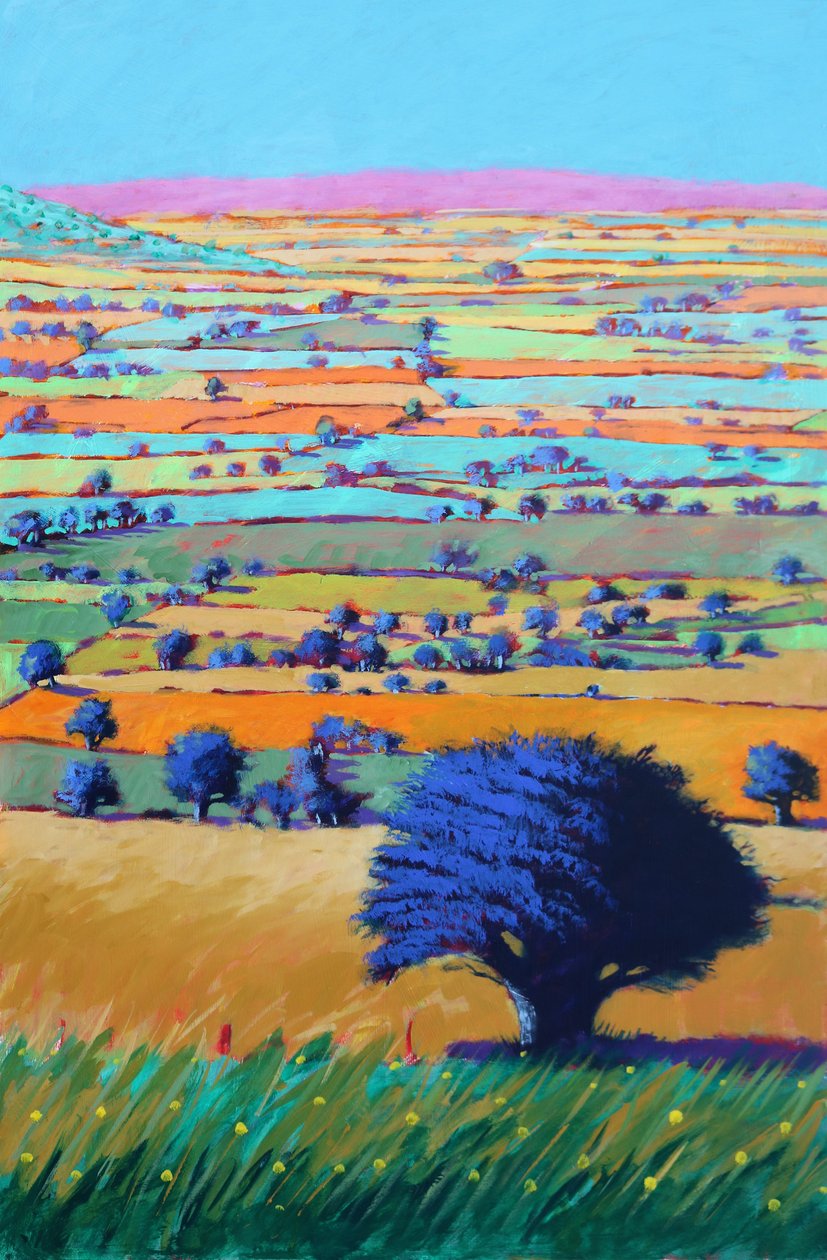 Cotswold Way, 2021 (acrílico sobre tabla) de Paul Powis