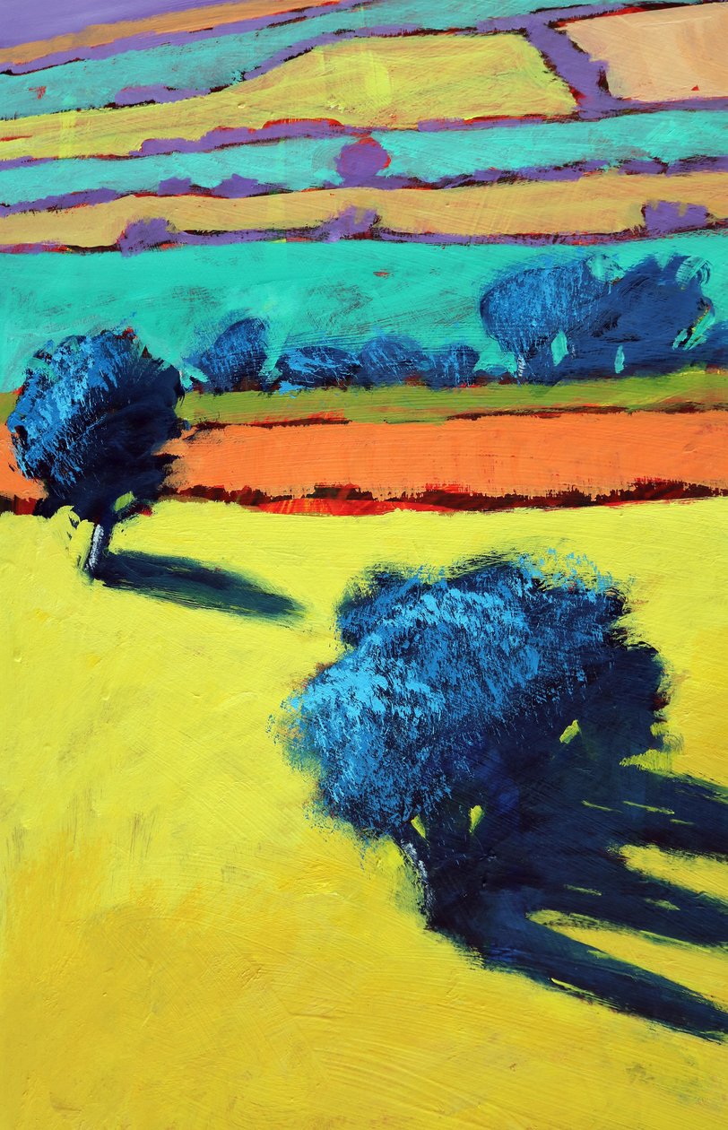 Cotswold Way primer plano 1 de Paul Powis
