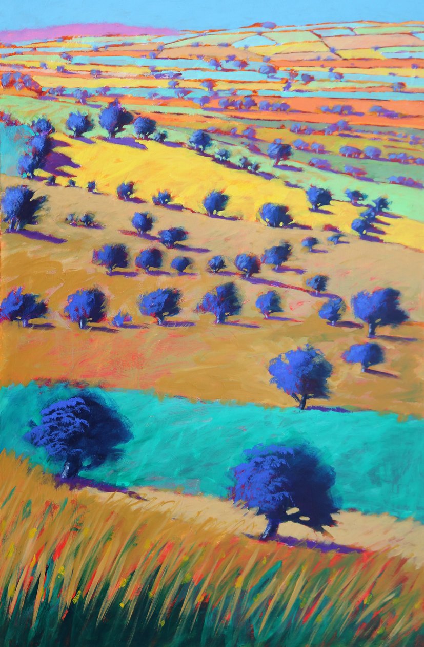 Cotswolds Towards Bredon, 2021 (acrílico sobre tabla) de Paul Powis