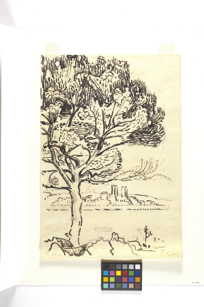 Antibes, Pin Pignon Au Premier Plan (Antibes, Pino Paraguas En Primer Plano) (dibujo a tinta negra con lápiz negro sobre papel tejuelo color canela) de Paul Signac