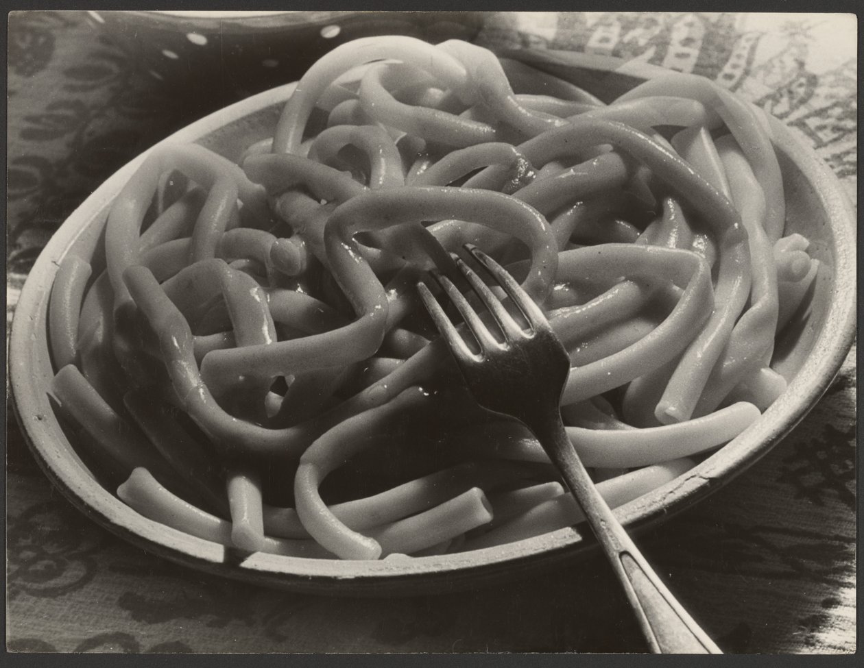 Plato de fideos con tenedor de Paul Wolff