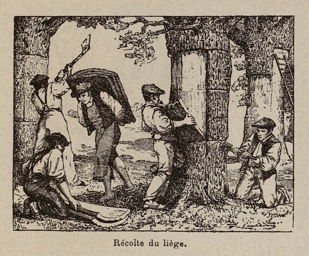  de Paul de Laubadere