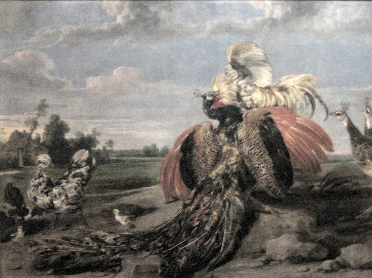 Lucha de gallos y pavos reales de Paul De Vos