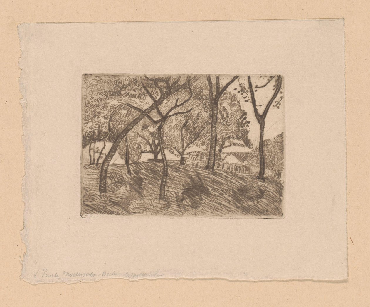Vista del bosque de Paula Modersohn Becker (signed by artist)