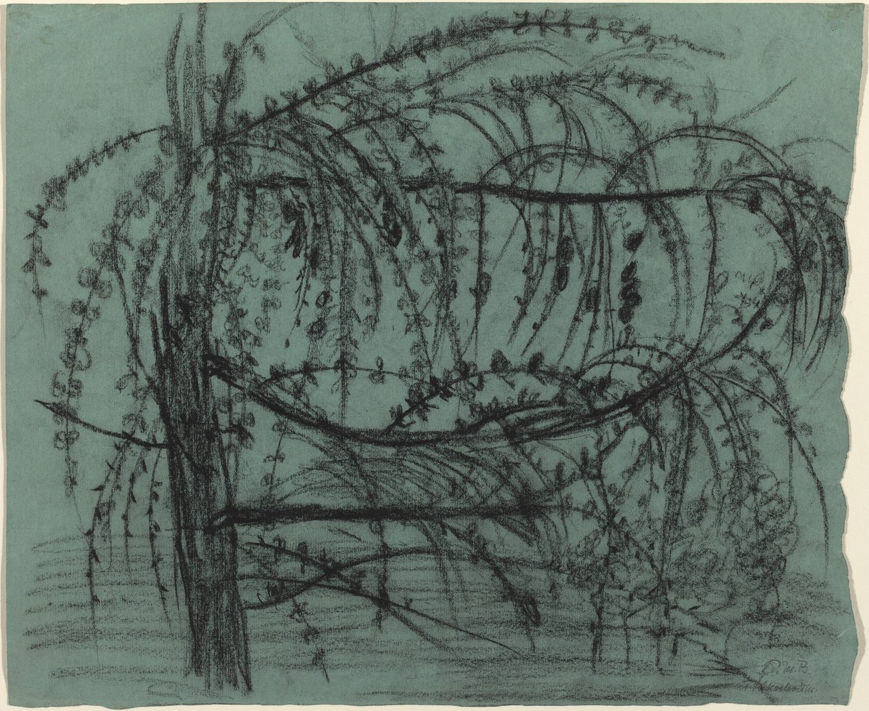 Árbol frutal en flor de Paula Modersohn Becker