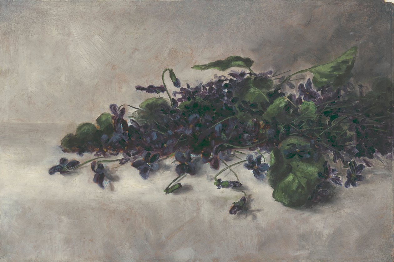 Violetas, ca. 1890 de Pauline Powell Burns