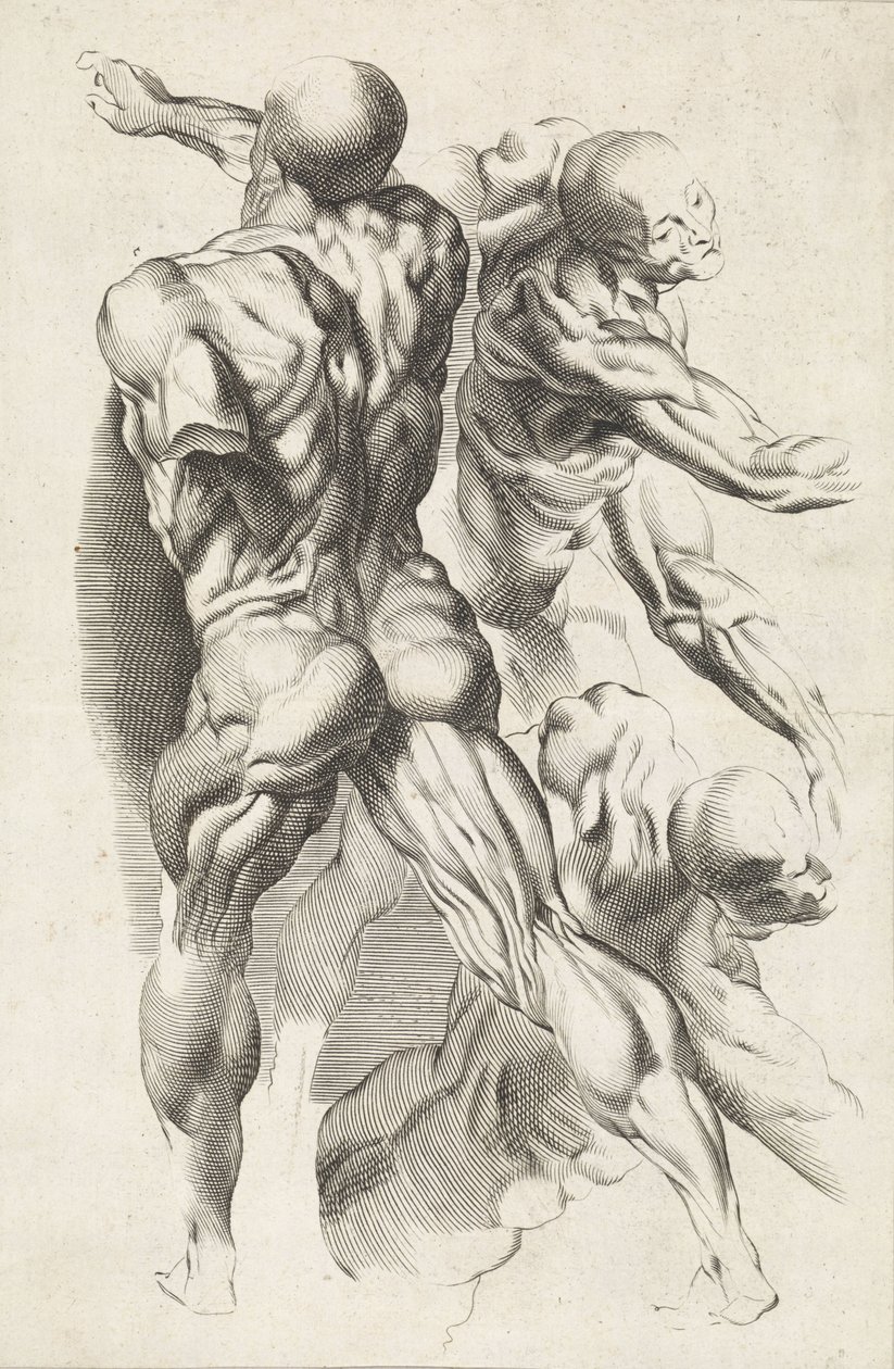 Estudio anatómico de tres figuras con los brazos extendidos
El libro de dibujos de Peter Paul Rubens (título de la serie) de Paulus Pontius
