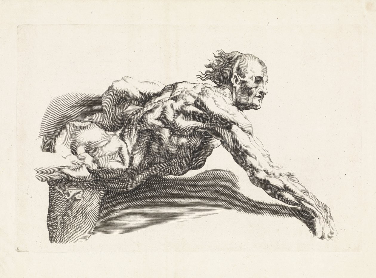 Estudio anatómico del hombre inclinado El libro de dibujo de Peter Paul Rubens (título de la serie) de Paulus Pontius