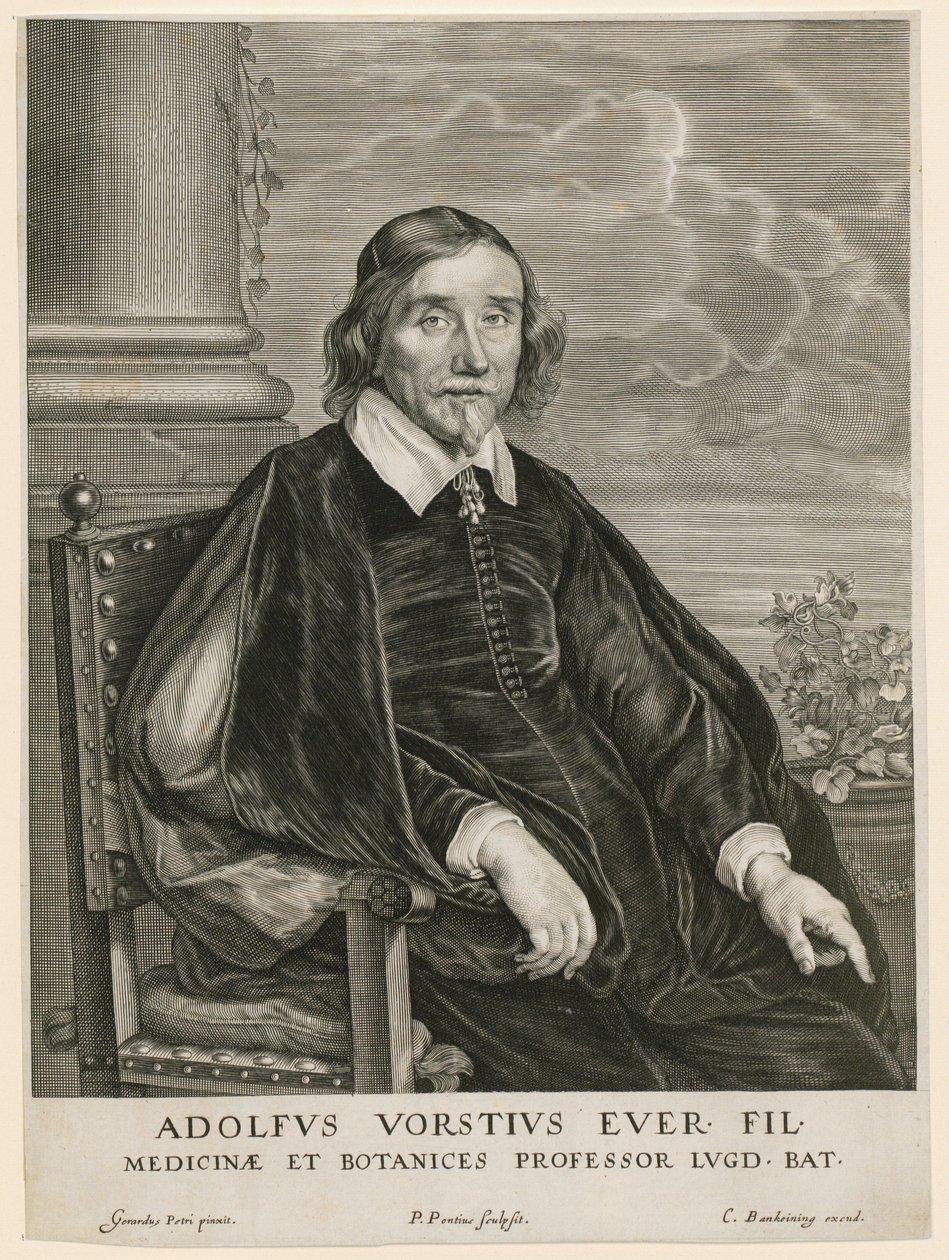 Retrato de Adolph Vorst, profesor en Leiden de Paulus Pontius