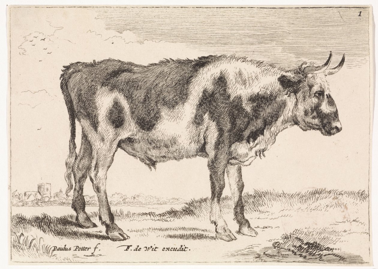 Buey manchado
Bueyes y vacas (título de la serie) de Paulus Potter (rejected attribution)