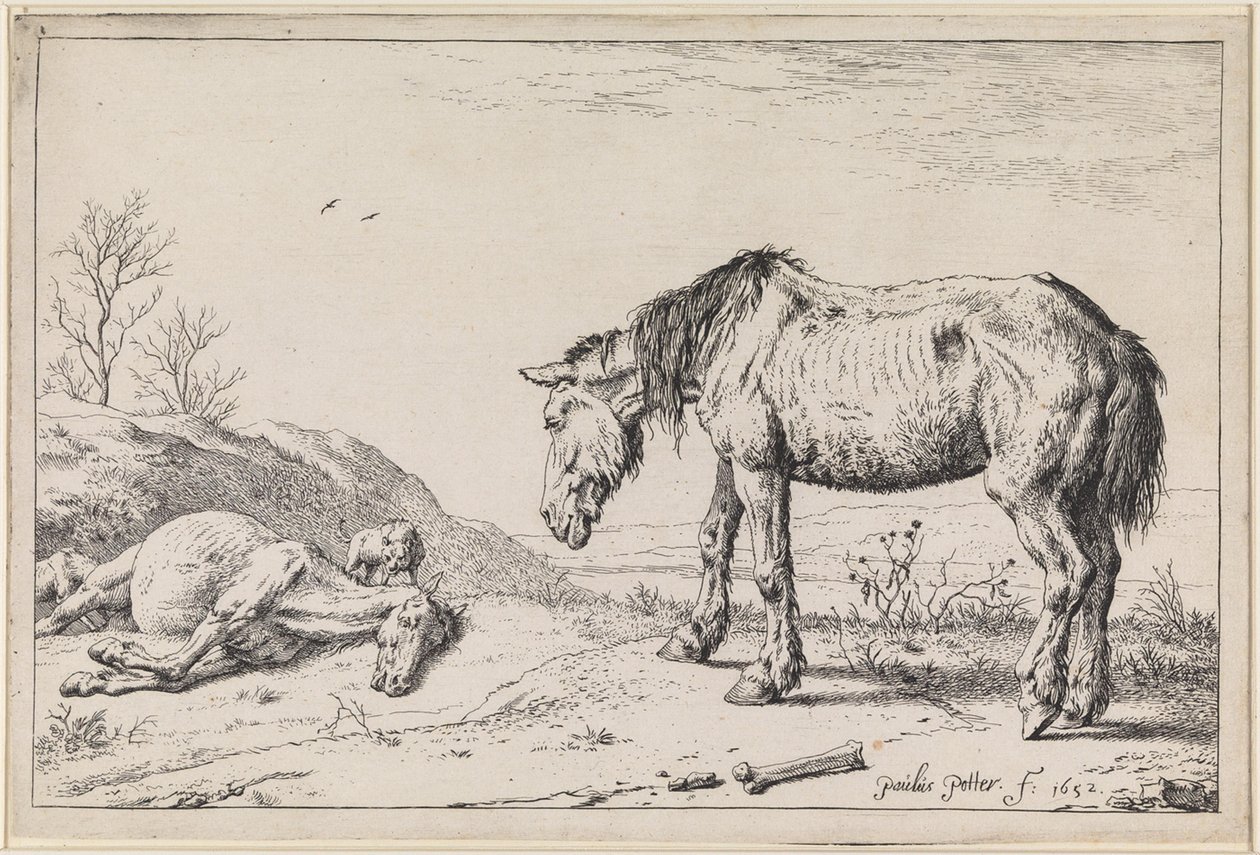 Caballos agotados de Paulus Potter
