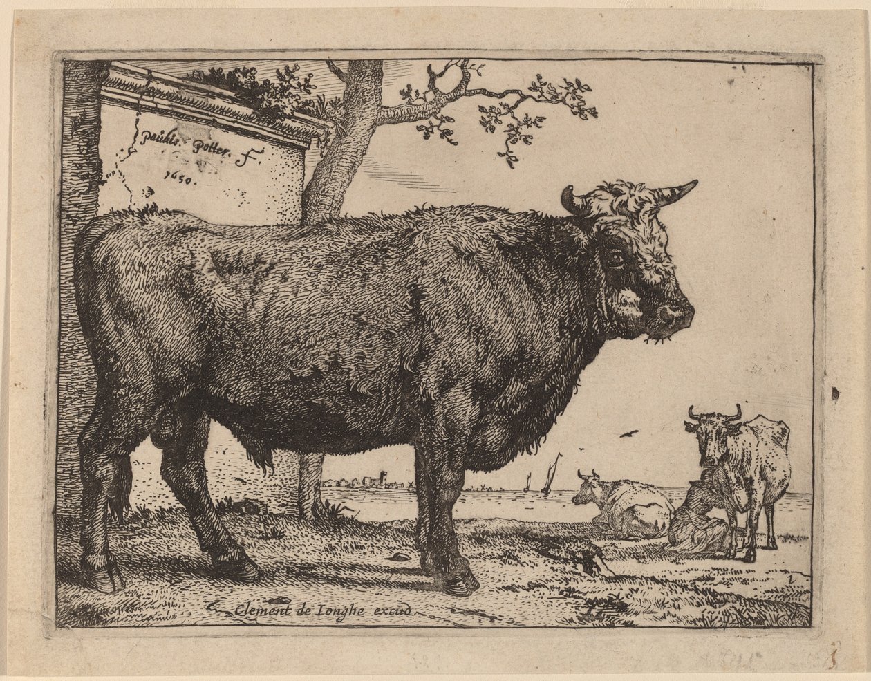 Toro de Paulus Potter