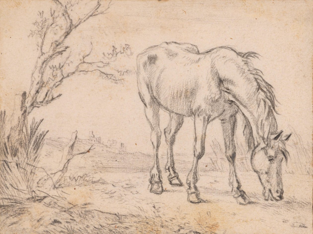 Un caballo pastando de Paulus Potter