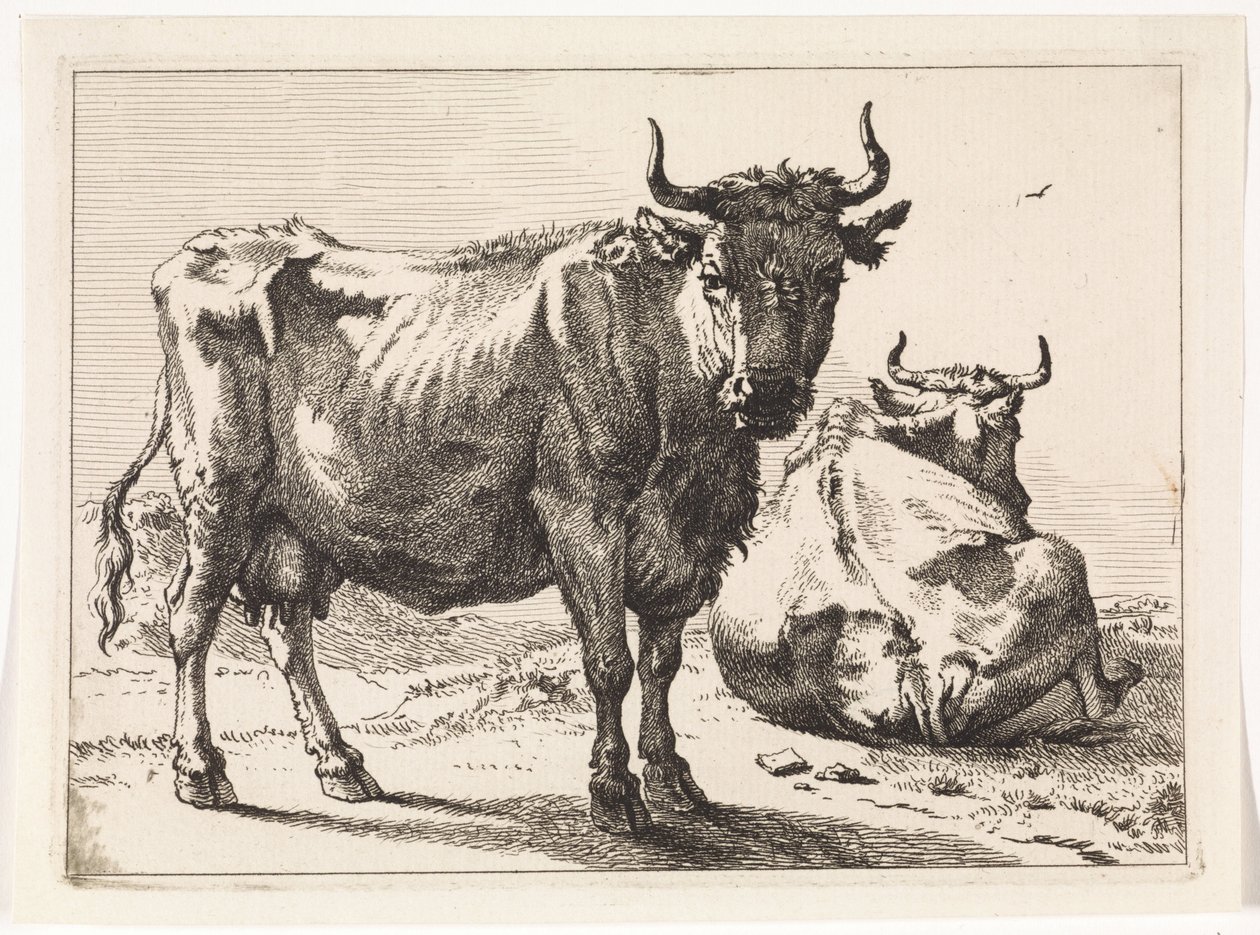 Una vaca de pie y otra reclinada
The Bull Book (título de la serie) de Paulus Potter