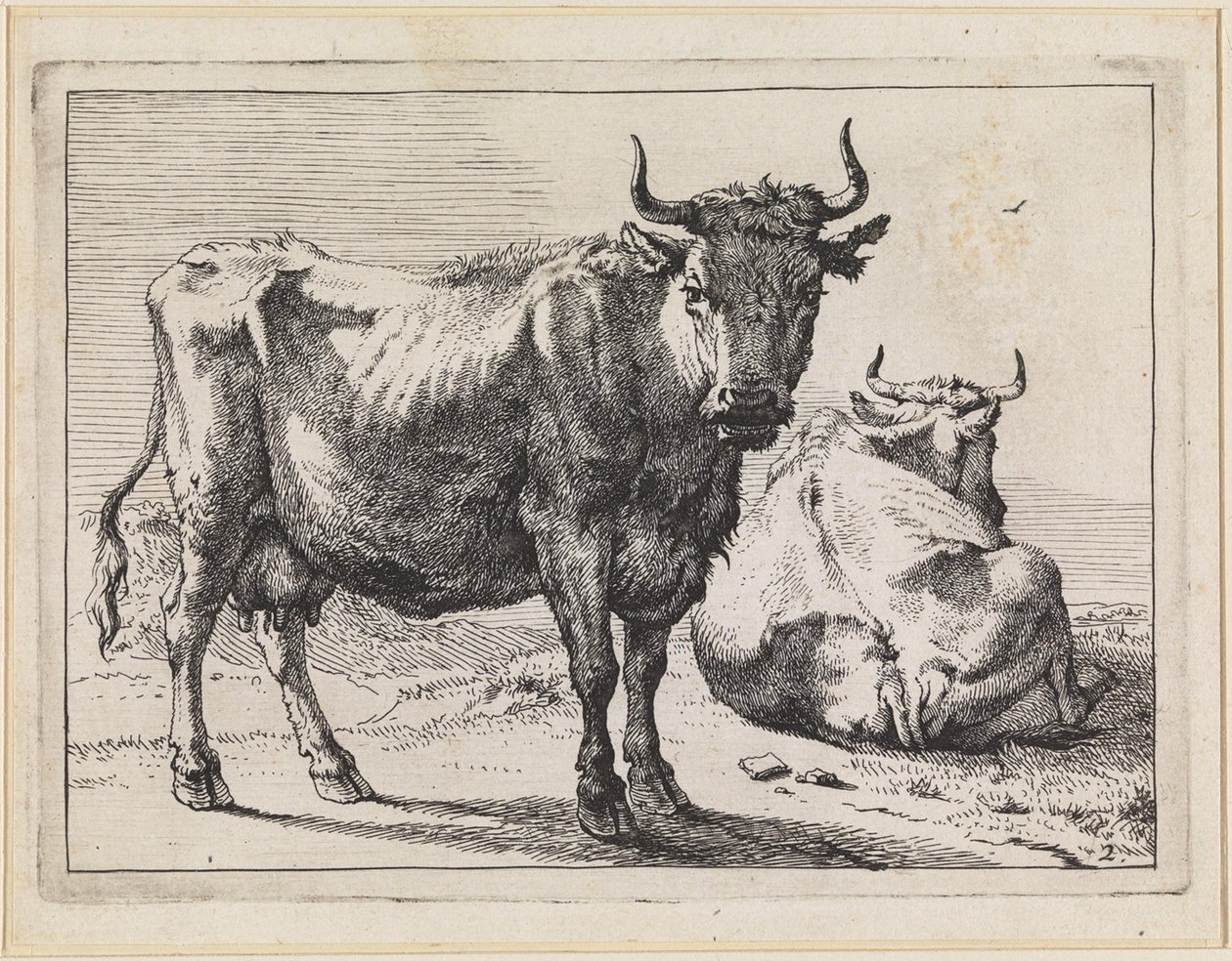 Una vaca de pie y una vaca echada de Paulus Potter