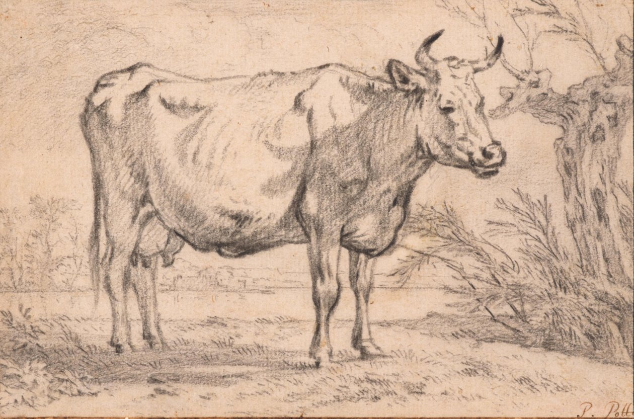 Una vaca de pie de Paulus Potter