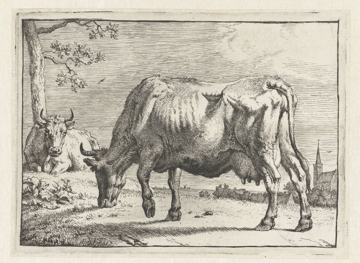 vaca pastando El folleto de Bullen (título de la serie) de Paulus Potter