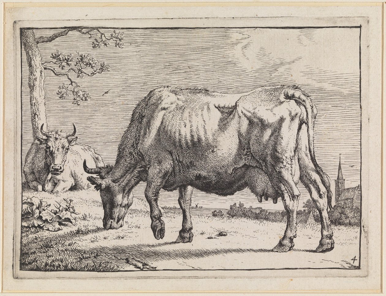 Vaca pastando de Paulus Potter