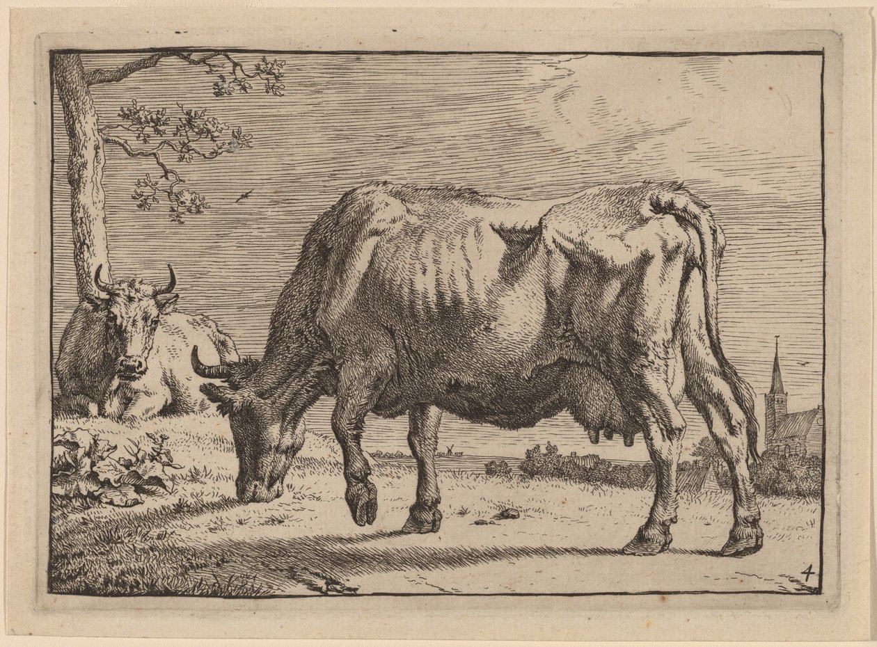 Vaca pastando de Paulus Potter