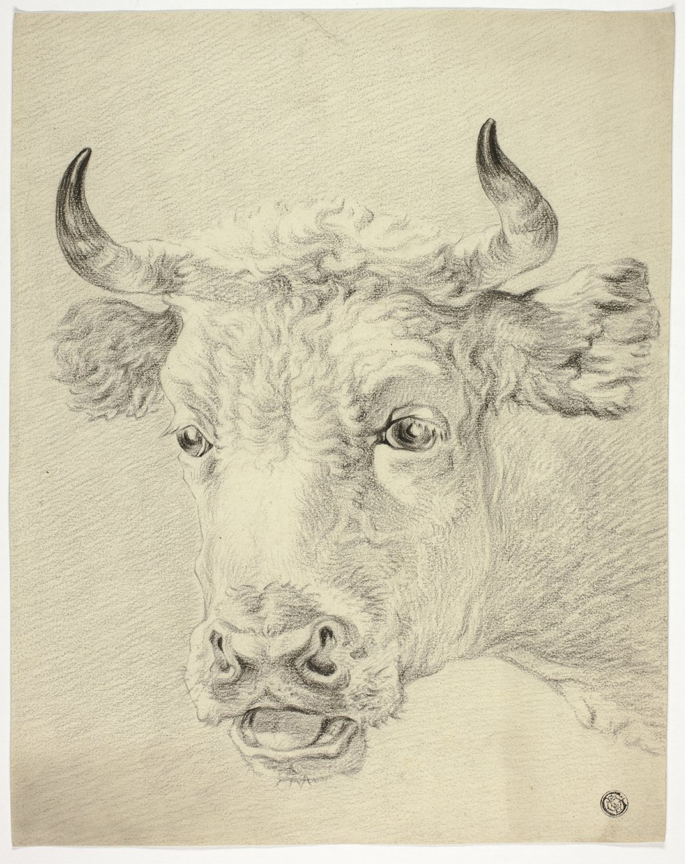 Cabeza de vaca de Paulus Potter