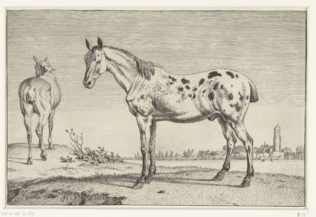 el caballo atracado Caballos (título de la serie) de Paulus Potter