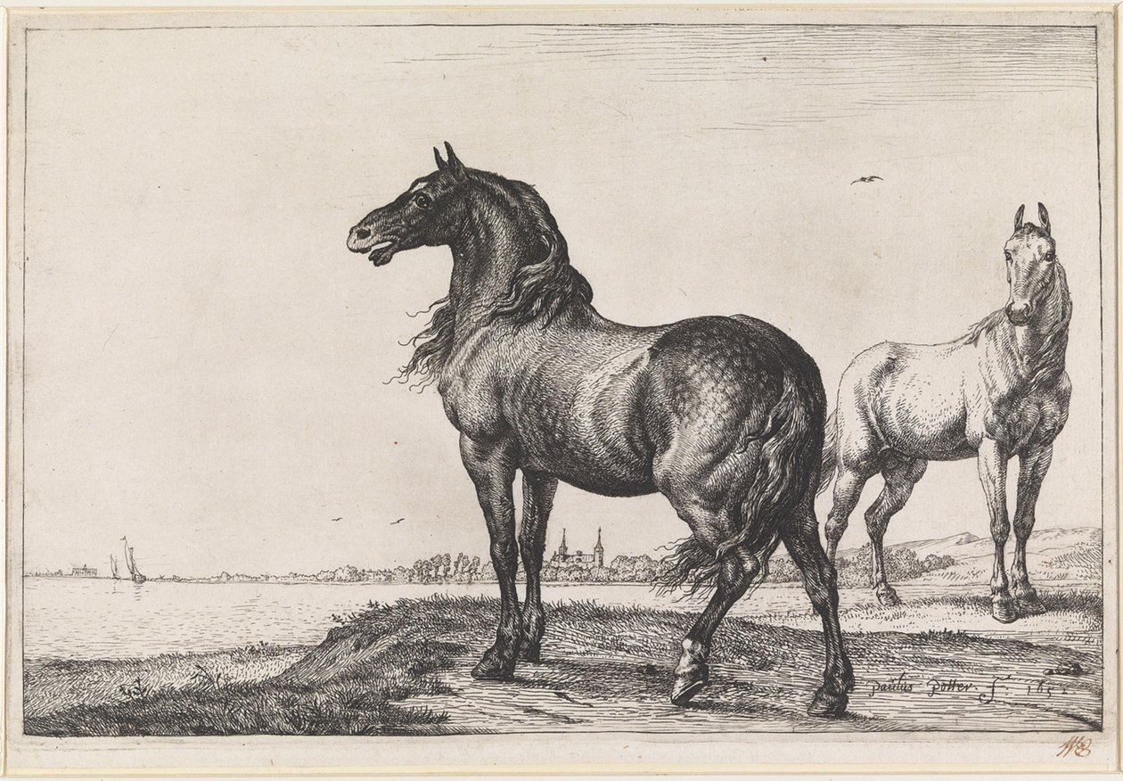 Caballo relinchando de Paulus Potter