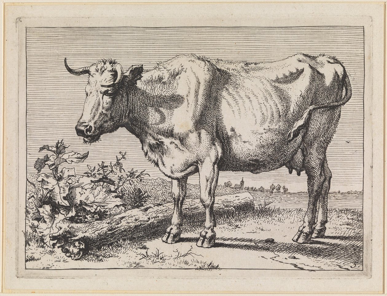Vaca con cuerno retorcido de Paulus Potter