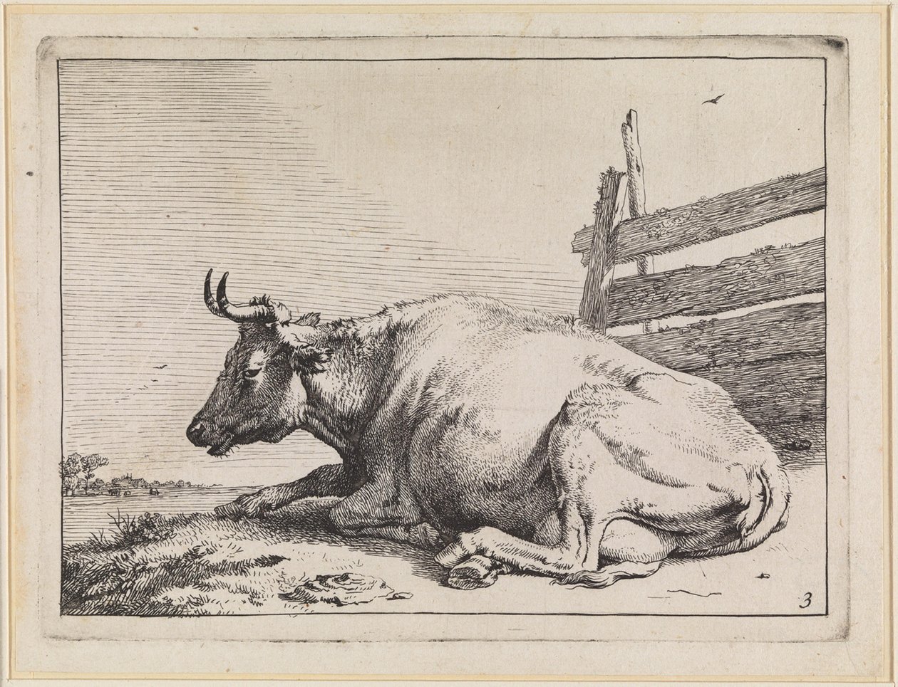 Vaca tumbada junto a una cerca de Paulus Potter