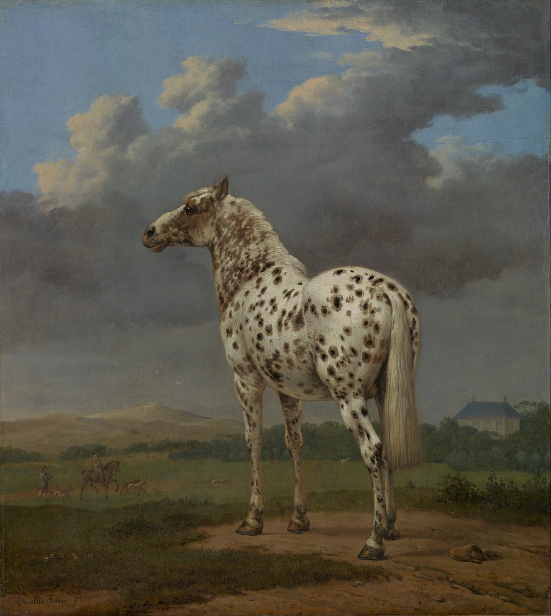 Caballo pinto, ca. 1654 de Paulus Potter