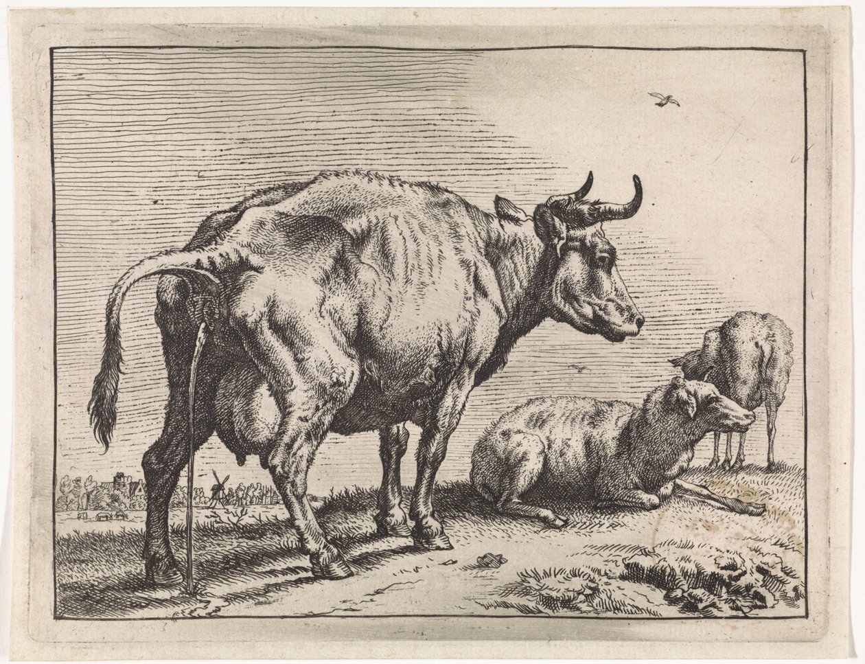 Vaca que orina
The Bull Book (título de la serie) de Paulus Potter