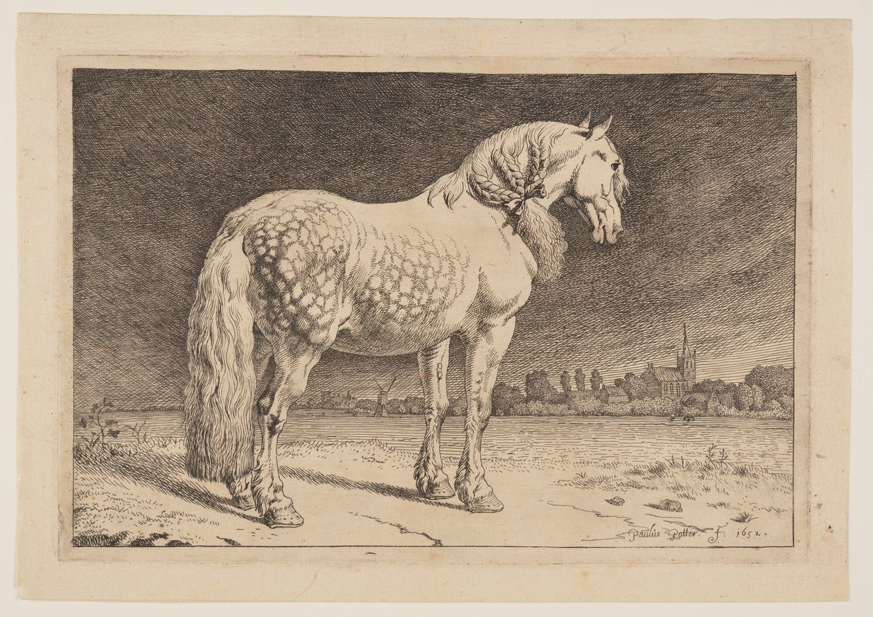 El caballo frisón, de Series de caballos de Paulus Potter