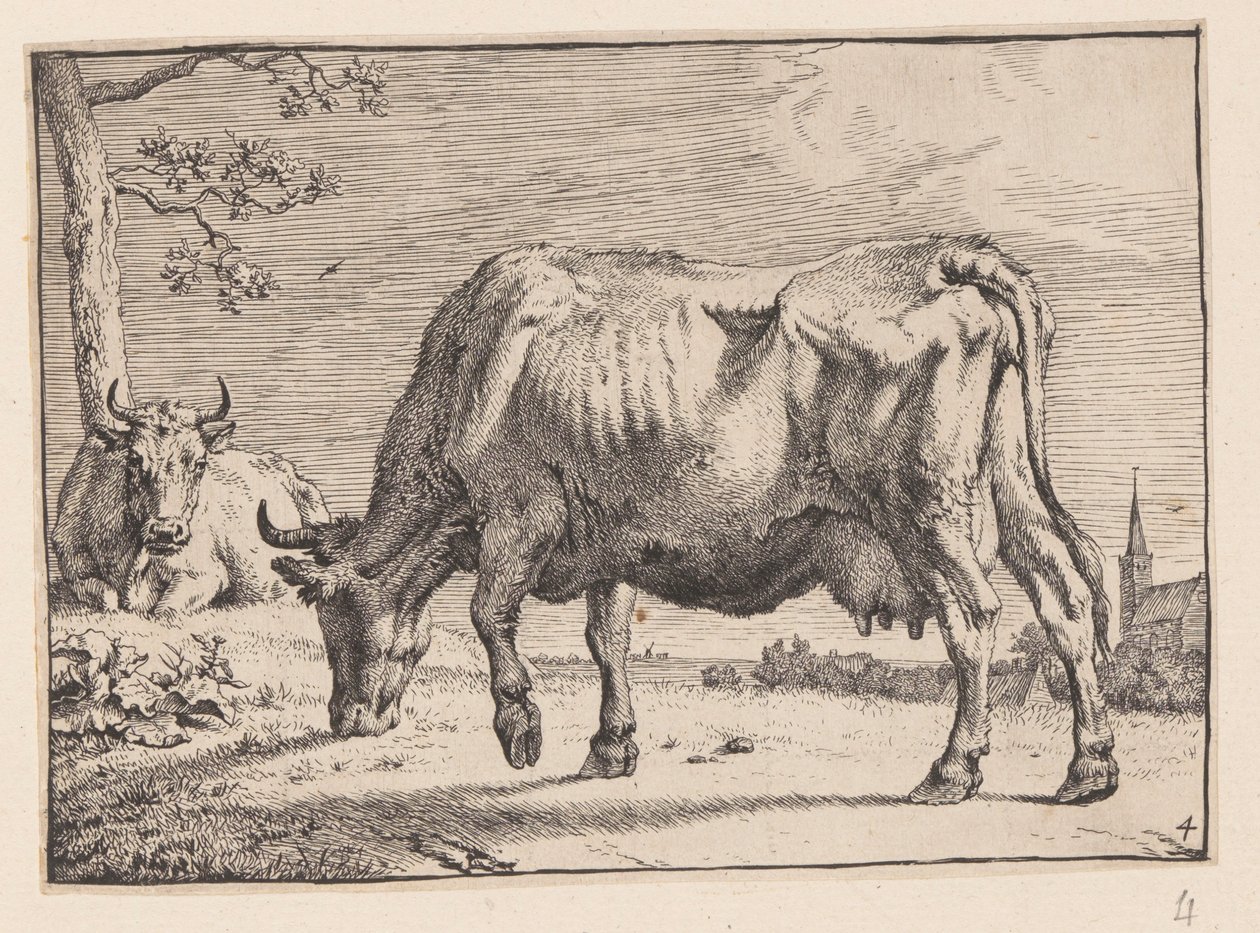 La vaca que pasta, de Varios bueyes y vacas de Paulus Potter