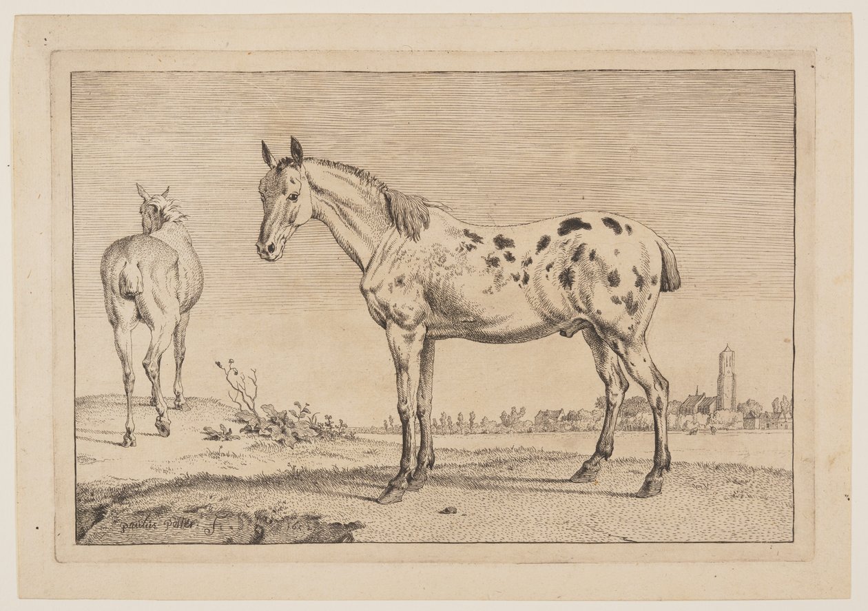 El caballo que relincha, de Series de caballos de Paulus Potter