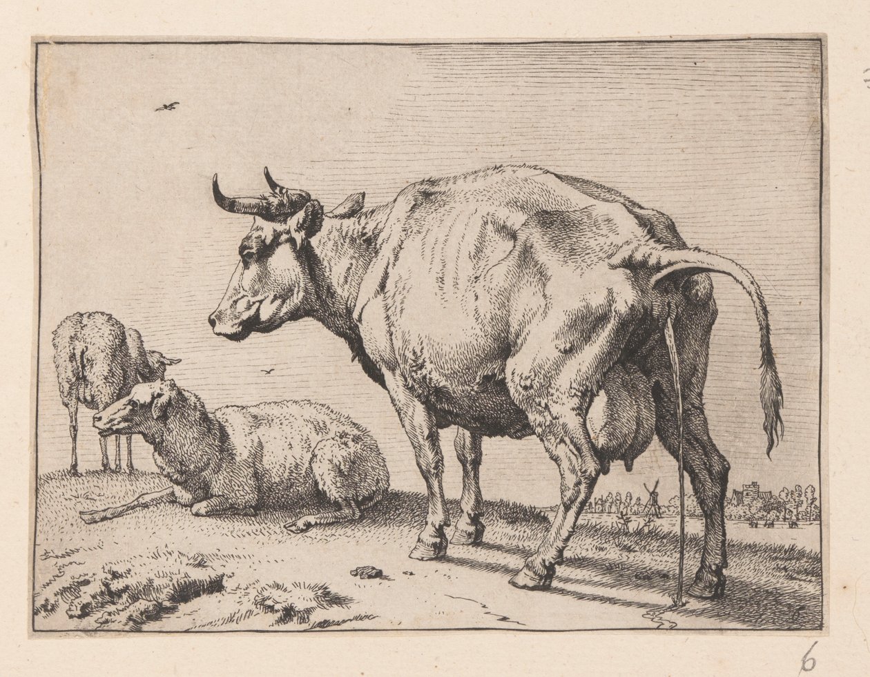 La vaca que mea, de Varios bueyes y vacas de Paulus Potter