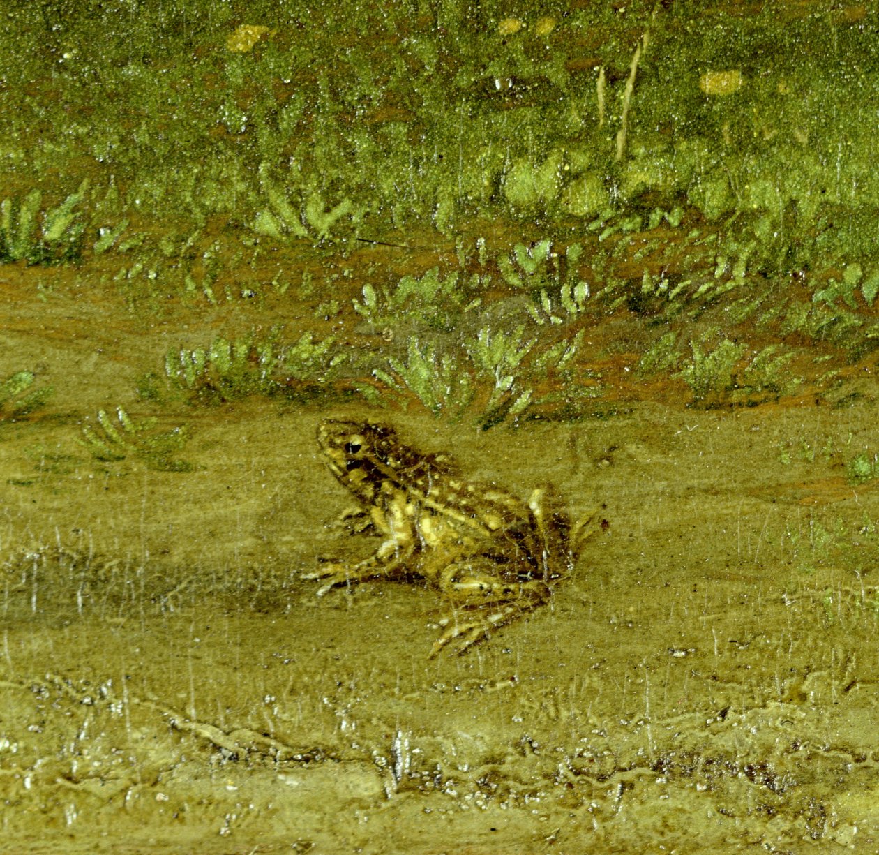 Sapo, detalle de Un compatriota con su rebaño, 1648 de Paulus Potter