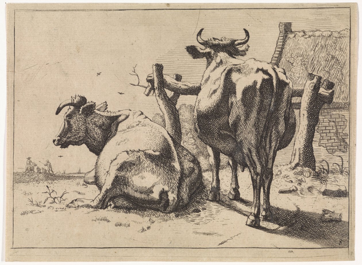 Dos vacas vistas desde atrás El folleto de Bullen (título de la serie) de Paulus Potter