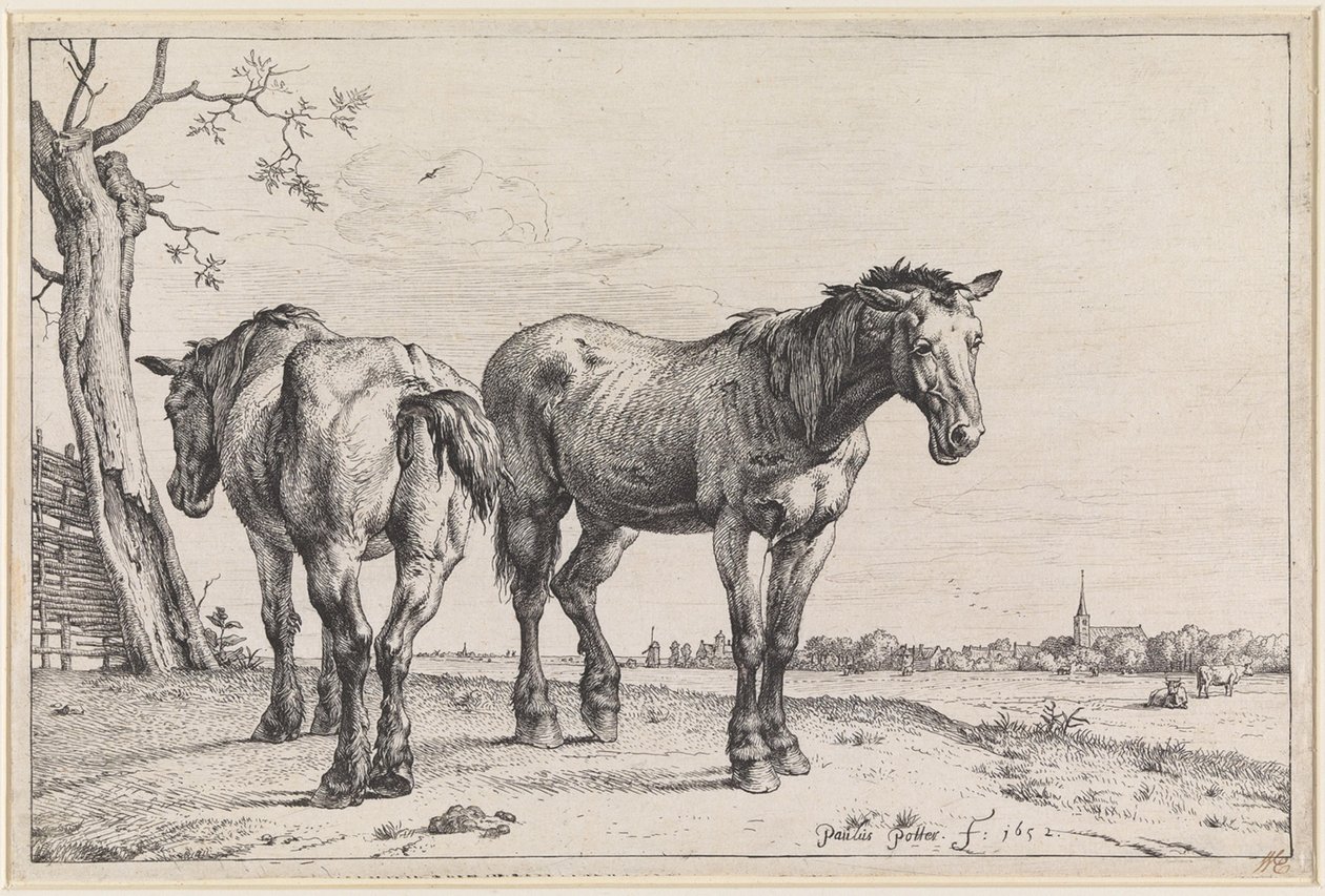 Dos caballos de arado de Paulus Potter