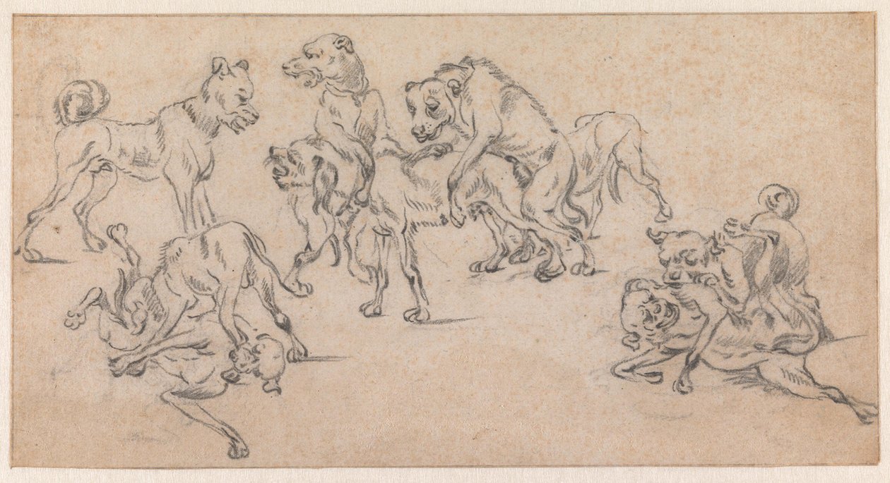 Perros peleando y apareándose de Paulus Potter
