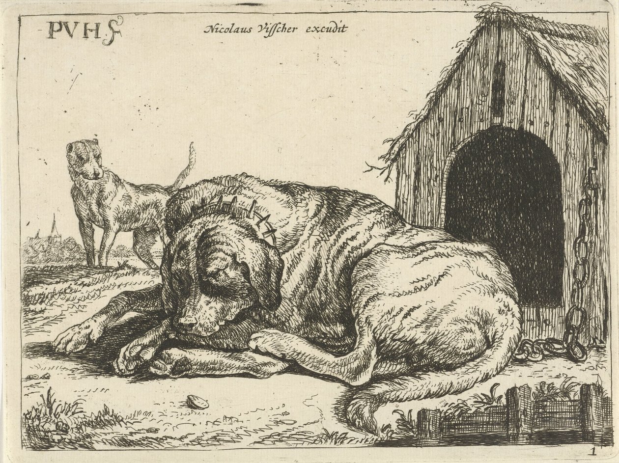 Perro recostado en una cadena Diferentes perros (título de la serie) de Pauwels van Hillegaert