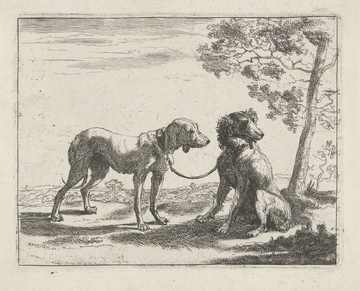 Dos perros Perros (título de la serie) de Pauwels van Hillegaert
