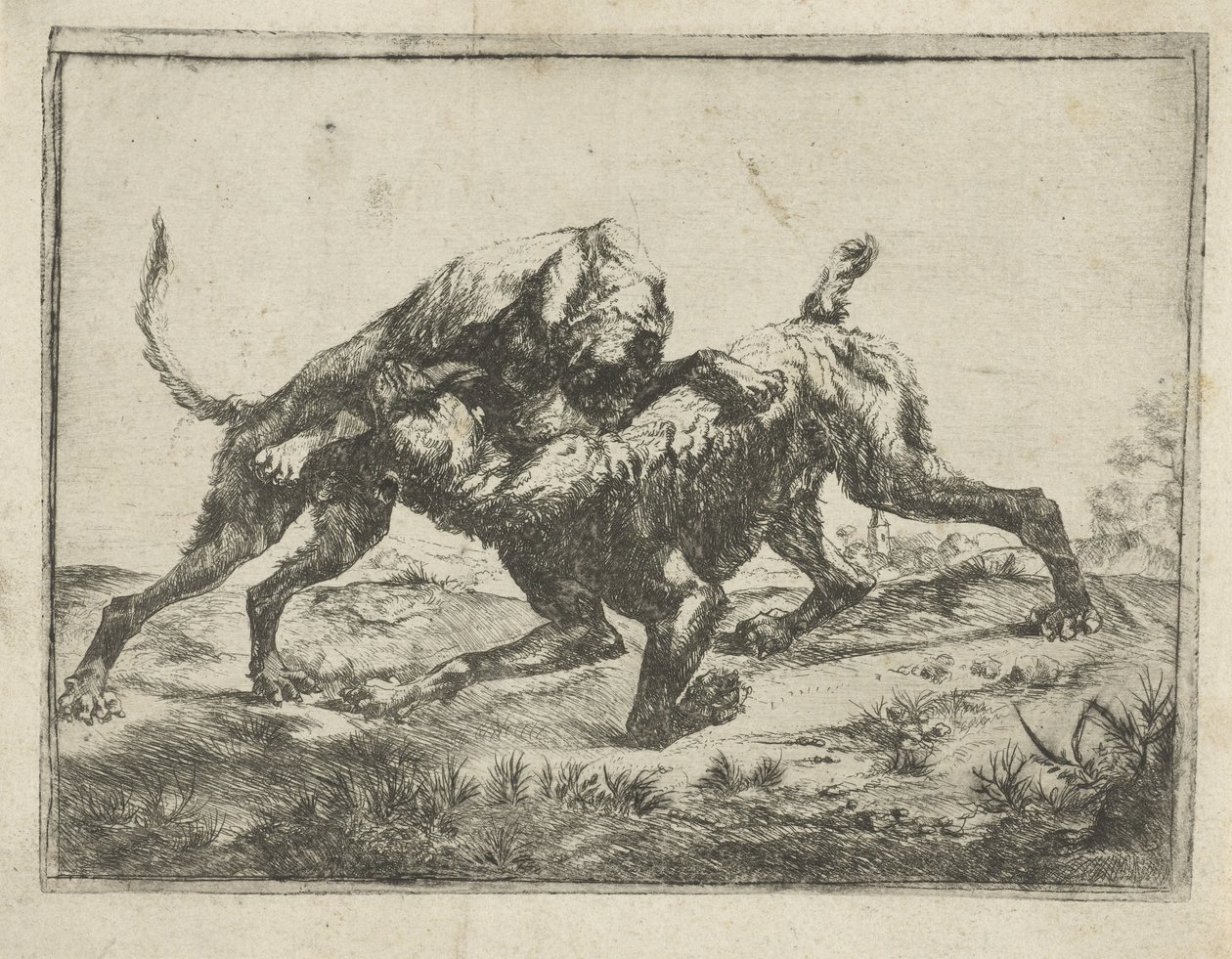 perros de pelea de Pauwels van Hillegaert