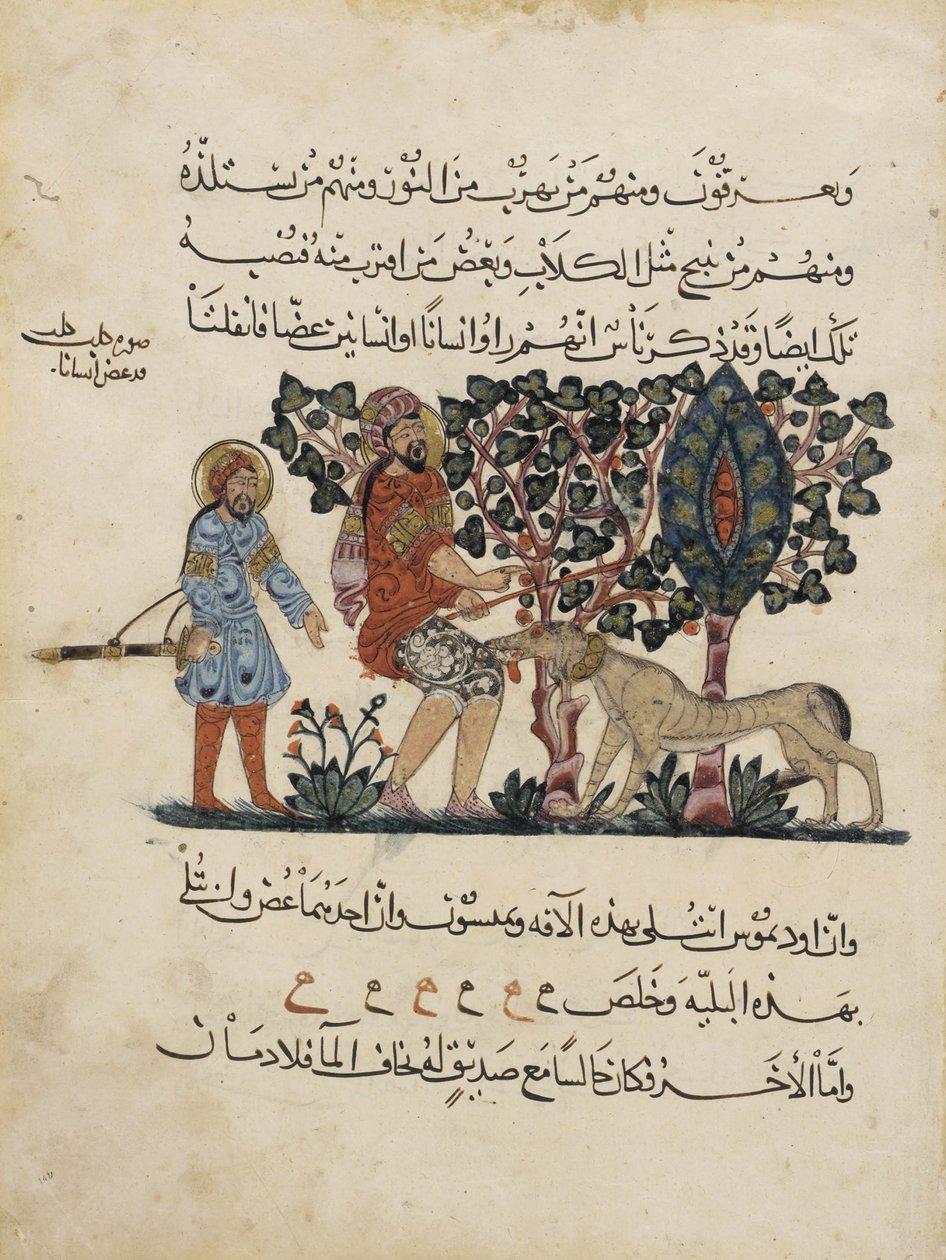 Folio de una traducción árabe de la Materia Médica de Dioscórides de Pedanius Dioscorides